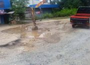 Rusak Berat, Warga Tanam Pohon Pisang Dijalan Desa