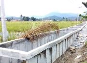 Ditinggal Kabur PT Feli Arta Lestari, Proyek Irigasi Rp 3,077 M Terbengkalai