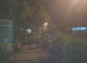 Pohon Tumbang Tutup Jl. Hasyim Ashari