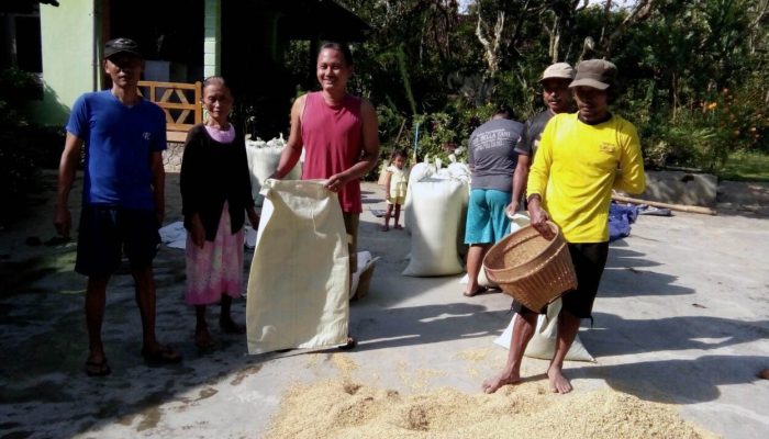 Usai Panen, Gabah Petani Tua Di Ngawi, Digondol Maling