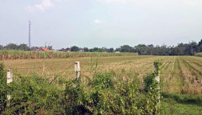 Rp 520 Juta Uang Penjualan Tanah Petani Ke PT Lapindo, Jadi Bancaan ?