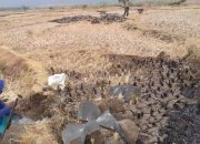 Puluhan Desa Di Ngawi Kekeringan Dan Kritis Air Bersih