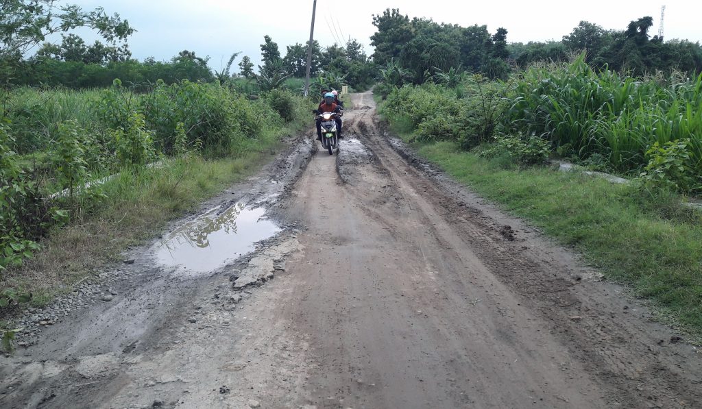Warga Dusun Dongbang, Desa Mojodanu, Butuh Perbaikan Jalan