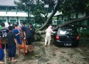 Angin Kencang Di Sragen Robohkan Pepohonan, 2 Mobil Ringsek, Dan Belasan Rumah Rusak