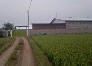 Perusahaan Ternak Bebek CV Swasembada Tak Kantongi IMB Dan Beroperasi Tanpa Izin