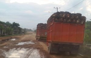 Jalan Rusak, Gubri : Kontribusi Perusahaan Sawit Bidang Infrastruktur Sangat Minim