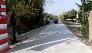 Desa Banjardowo Bangun Infrastruktur Dengan Dana Desa 2019