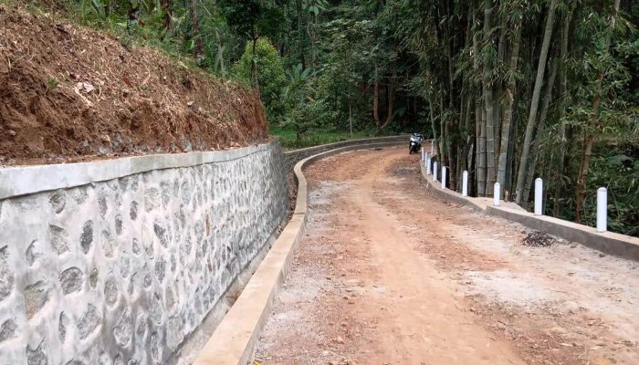 Desa Umbulrejo Ngawi, Bangun Talut Jalan Lingkungan Dari Dana Desa 2019