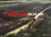 Diduga Rekayasa Laporan Dana Desa, Diakhir Tahun TPK Desa Kedungpapar Minta 6 Nota Kosongan