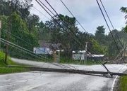 Satu Pohon Tumbang Di Muaraenim, Robohkan Dua Tiang Listrik