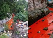 Tercemar Limbah, Air Selokan Roomo Manyar Berubah Jadi Oranye