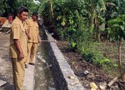 Pemdes Jatiduwur Bangun Jalan, Drainase Dan TPJ Dengan DD