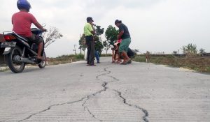 Dua Bulan Dibangun Jalan Rabad Beton Di Kendal Sudah Rusak