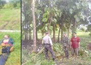 Warga Jombang Tewas Tersambar Petir Saat Mencari Rumput
