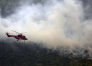 Pemprov Sumsel Kucurkan Rp37 Miliar untuk Tangani Kebakaran Hutan