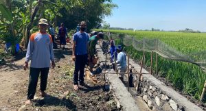 Desa Pulorejo Jombang, Bangun Saluran Irigasi 240 Meter Dari Program P3-TGAI