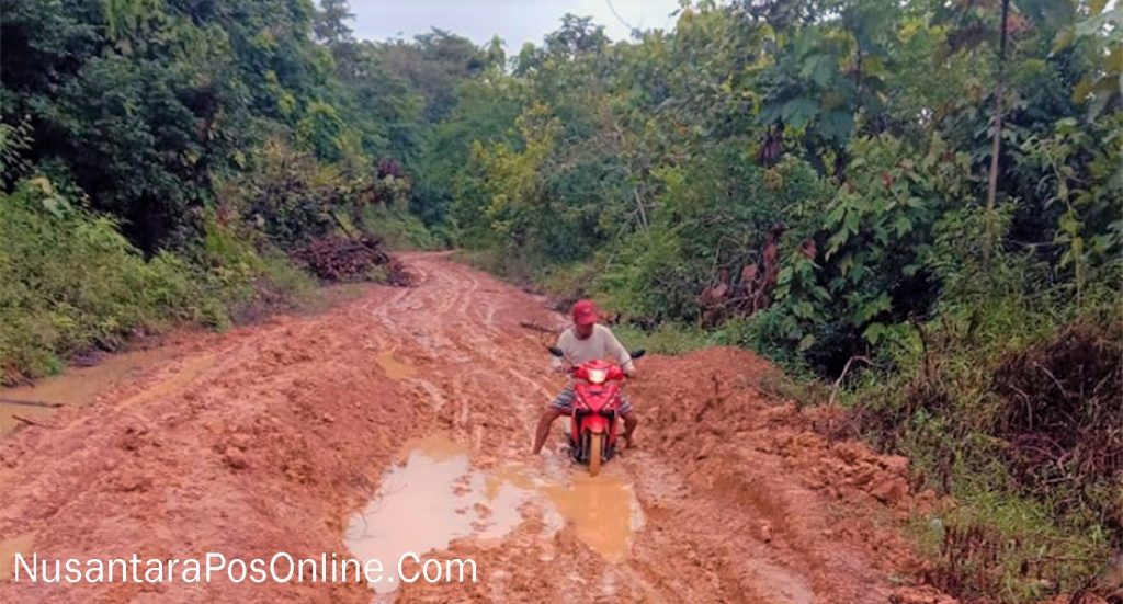 Jalan Di Kab Muba Seperti Kubangan Kerbau Tak Tersentuh Pembangunan
