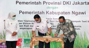 Pimprov DKI Jakarta Teken Kerja Sama Resi Gudang Gabah Dengan Pemkab Ngawi