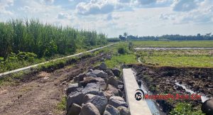 Proyek TPT Rp 350 Juta Amburadul, TPK : Saya Biasa Sama Pak Romlan, Kamu Tanya Pak Romlan