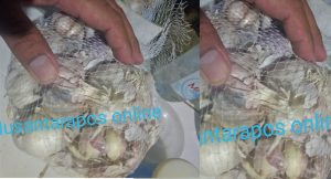 Bingkisan Pangan BPNT Di Jombang, Bawang Sudah Bosok Dikeluhkan KPM