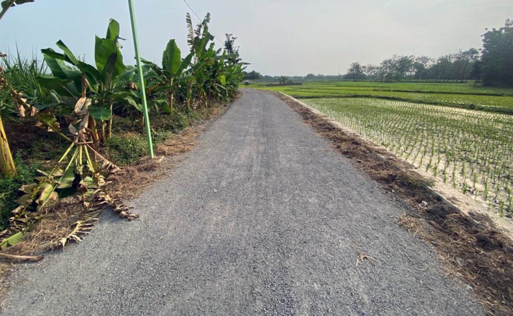 Jalan Aspal lapen Desa Selorejo kecamatan Kecamatan Mojowarno Jombang