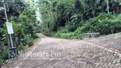 Pemdes Kletekan Ngawi Gunakan Dana Desa Untuk Bangun Jalan Dan BLT