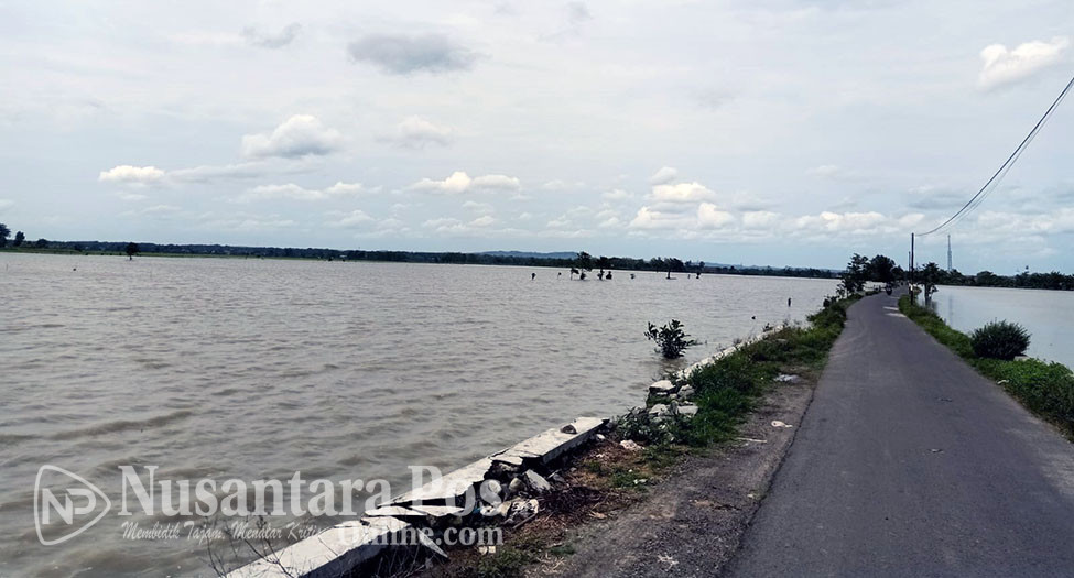 125 Hektar Tanaman Padi Kecamatan Kesamben Terendam Banjir
