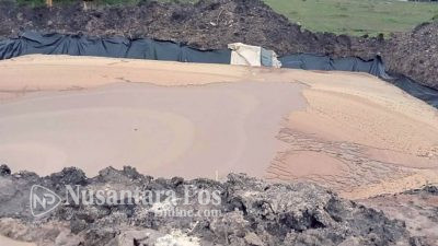 PT Satwa Utama Raya Di Jombang Timbulkan Bau Busuk, Kebisingan Dan Debu, Terus Dikeluhkan Warga