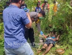 Pencari Pakan Burung Tewas Dalam Hutan Jati di Mojokerto, Diduga Karena kelelahan