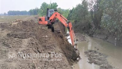 Dinas PUPR Jombang Kerahkan Alat Berat Untuk Normalisasi Kali Marmoyo