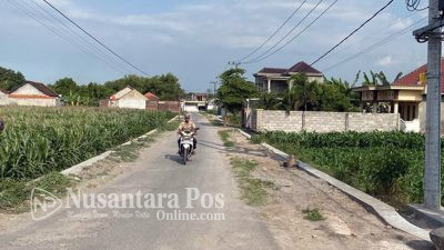 Pemdes Tanjunggunung Jombang, Bangun TPT Dari BKK Kabupaten