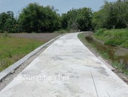 Pemdes Gumulan Sukses Bangun Jalan Usaha Tani Melalui Program Jombang Berkadang