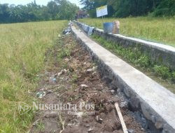 Proyek Bantuan Pokir DPRD Jombang dan DD di Desa Balonggemek Diduga Menyimpang