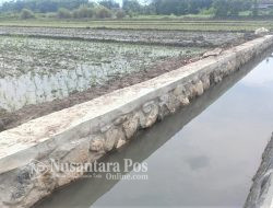 Pemdes Jogoloyo Jombang Bangun Drainase Dengan Dana Desa 2022