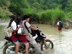 Selangkah Lagi, Honorer Dengan 3 Kriteria Ini Bakal Diangkat Jadi PNS