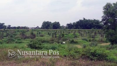 Proyek GOR Rp 17,616 Miliar Pemkab Kediri Mangkrak