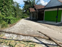 Realisasikan DD, Pemdes Kedunglumpang Jombang Bangun Jalan Paving