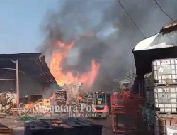 Pabrik Lantai Kayu PT Layo Seng Fong Jombang Terbakar Hebat