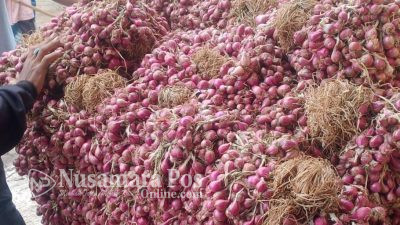 Harga Bawang Merah Tembus Rp 80 Ribu, Ini Kata Mendag