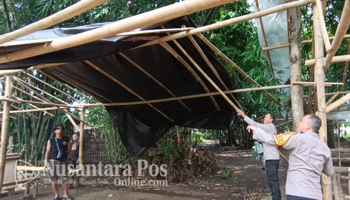 Polisi Bongkar Lima Arena Judi Sabung Ayam di Jember