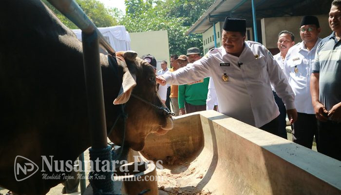 Bupati Jombang Pantau Ketersediaan Hewan Kurban di Pasar