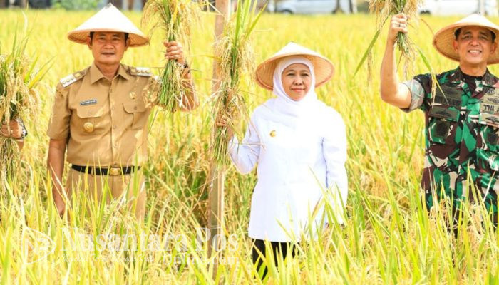 Khofifah Apresiasi Kampung Pandu, Siap Replikasi Pertanian Terpadu di Jatim
