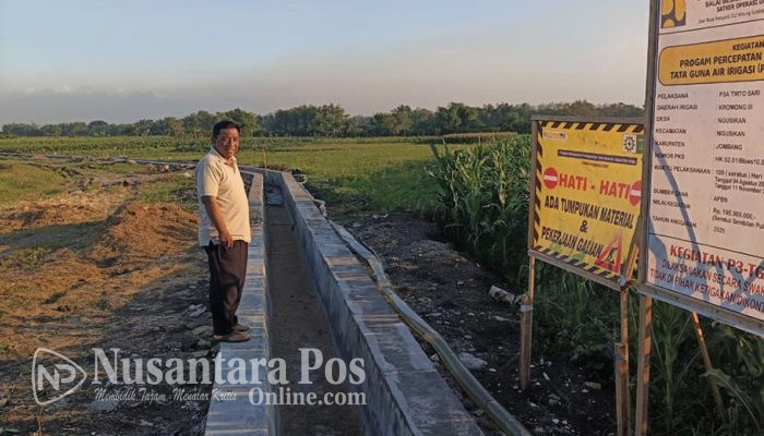 Desa Ngusikan Jombang Bangun Saluran Irigasi Melalui Program P3-TGAI