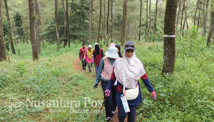 Objek Wisata Jurang Jero Magelang Tawarkan Jalur Trekking View Merapi
