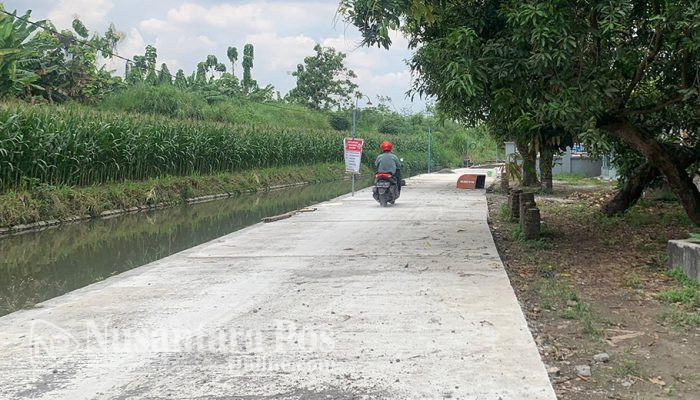 Dana Desa 2025 : Pemdes Jatiduwur Jombang Bangun Jalan Rabat Beton