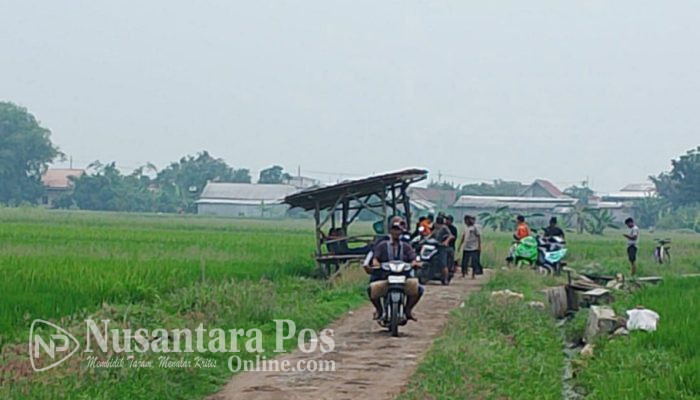 Cari Rumput Tak Kunjung Pulang, Warga Sumobito Jombang Dilaporkan Hilang