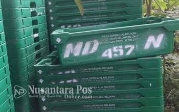 proyek-mangkrak-di-Dinas-Kelautan dan-Perikanan-Jatim (1) proyek-mangkrak-di-Dinas-Kelautan dan-Perikanan-Jatim (1)