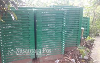 proyek-mangkrak-di-Dinas-Kelautan dan-Perikanan-Jatim (8) proyek-mangkrak-di-Dinas-Kelautan dan-Perikanan-Jatim (8)
