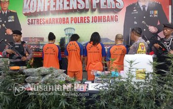 empa-tersangka-penanam-ganja-di-jombang