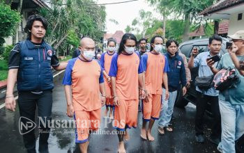 ungkap-kasus-budidaya-tanaman-ganja-di-jombang (2)